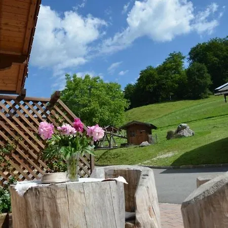 Oberthannlehen Фермерский дом Бишофсвизен